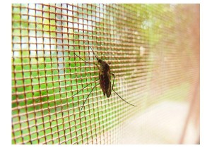 Сетка на окна от комаров (1000х70 мм)